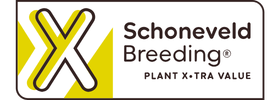 schoneveld-logo
